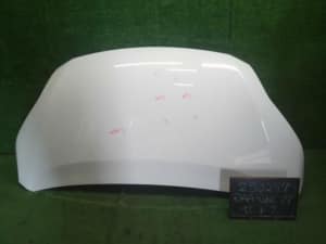 Bonnet Hood NISSAN Serena 2018 DAA-GNC27 F510M5TAMA (PA117979096) 