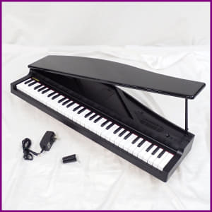 ★/　 and 1029005969 with sound 　 sound/Electronic/AC adapter at/61 keyboard/greatest same time made in KORG/ KORG microPIANO digital piano/black/2018 (PA122862429) 