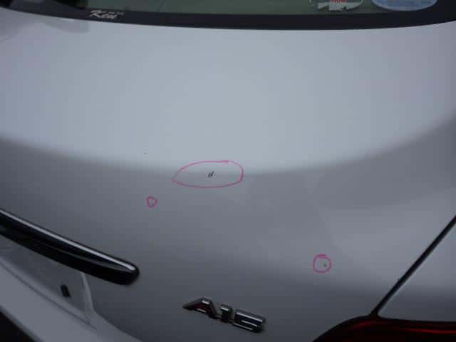 Used]Trunk Panel TOYOTA Allion DBA-NZT260 - BE FORWARD Auto Parts