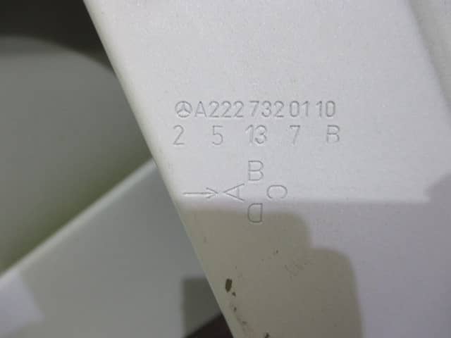 Used] Rear Left Door Panel MERCEDES-BENZ S-Class W222 A222 732 01