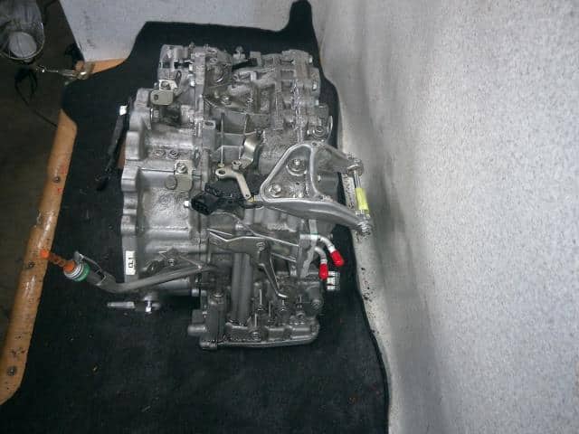 Trans suzuki porno