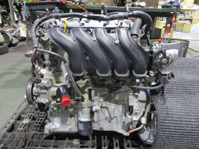 Used Engine Toyota Probox 2017 Dbe Ncp55v