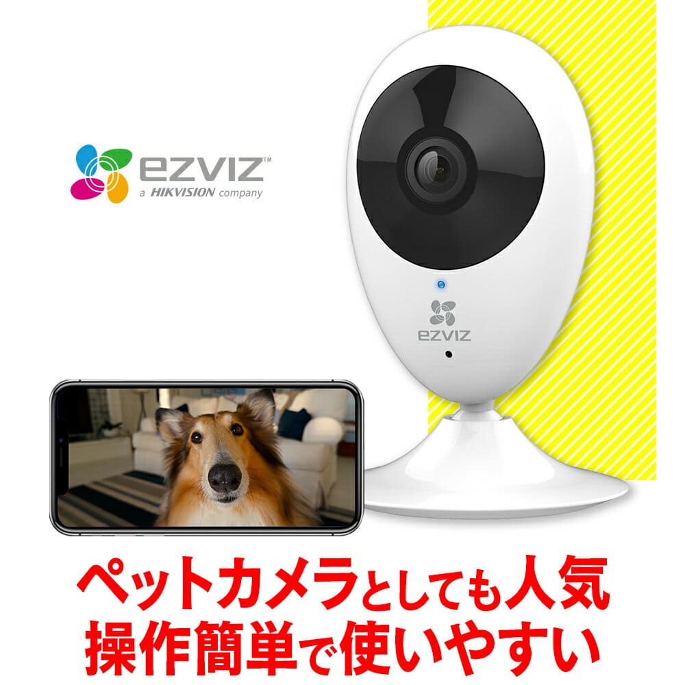 home pet monitoring device