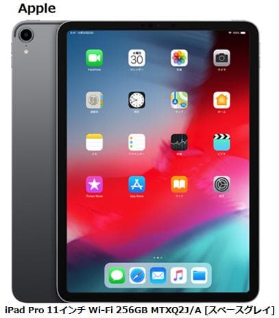 Apple iPad Pro 11インチ 第1世代 Wi-Fi 256GB MTXR2J/A
