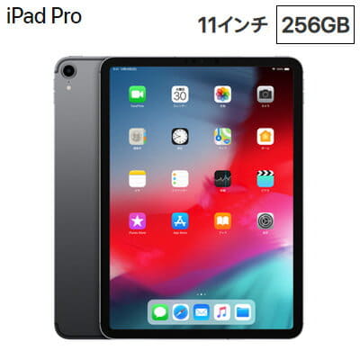 New]Apple 11 inches iPad Pro Wi-Fi model 256GB MTXQ2J/A space gray