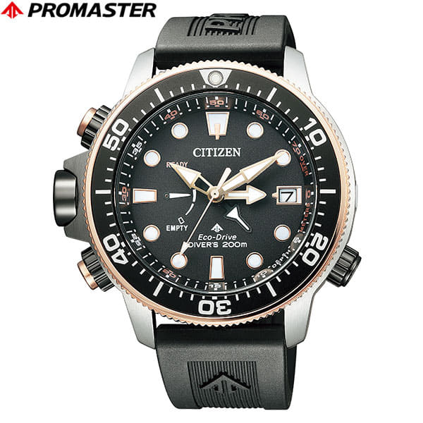 promaster-003_logo.jpg