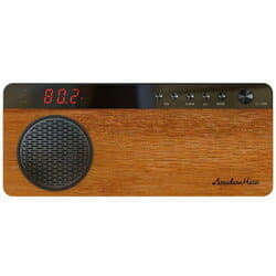 New]Amateur Dana [Wide FM Range] FM home Radio amadana Music Radio