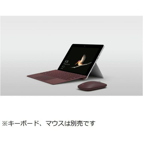 New]Microsoft Surface Go [Pentium Gold, 10 inches, , SSD 128GB