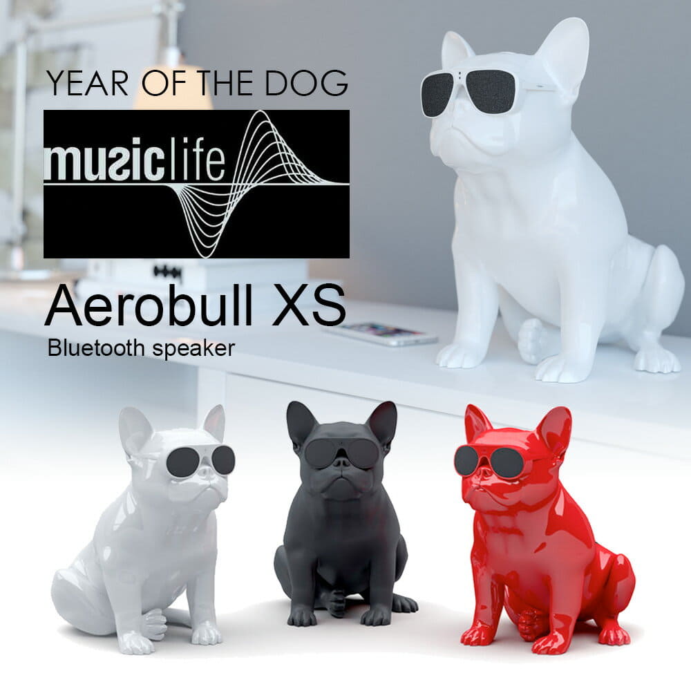 Aerobull xs best sale