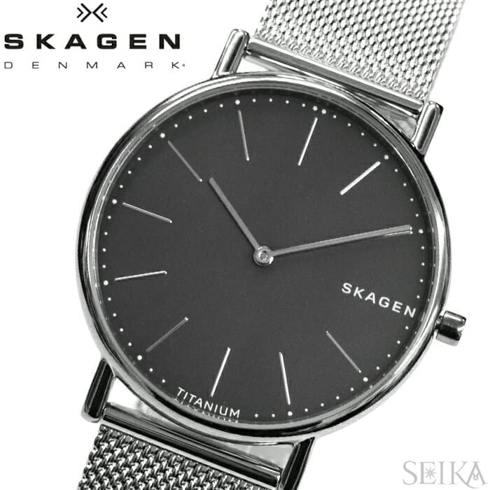 New Skagen SKAGEN SKW6483 signature clock watch mens gray Silver mesh BE FORWARD Store