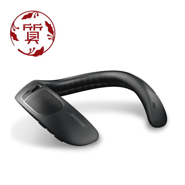 soundwear companion speaker price