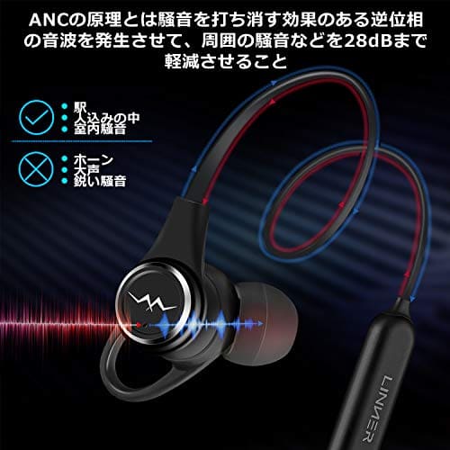 wireless microphone noise cancelling