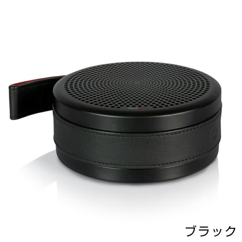 circle portable speaker