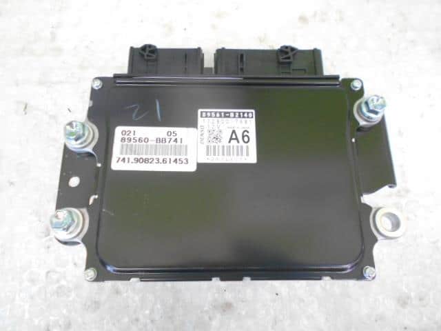 その他 enaga 63952074.jpg