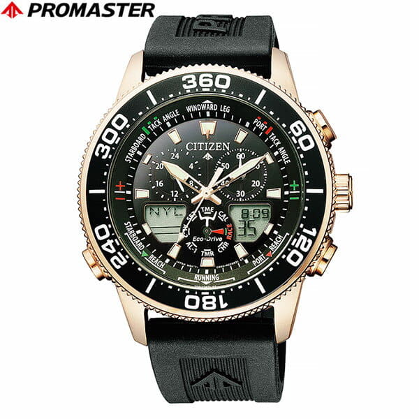promaster-006_logo.jpg