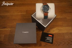 timex tw2p95700