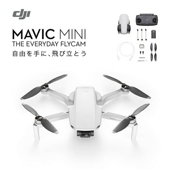 New]Mavic Mini-The Everyday FlyCam Drone with Camera Ultra-light 199g for  RC Beginner - BE FORWARD Store