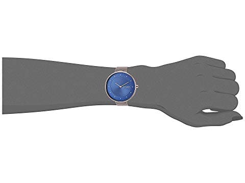 Skagen skw2811 hotsell