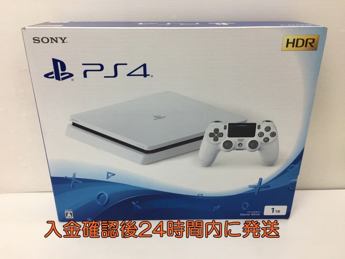 PS4 2200b b02 cuh-2200b b02 - テレビゲーム