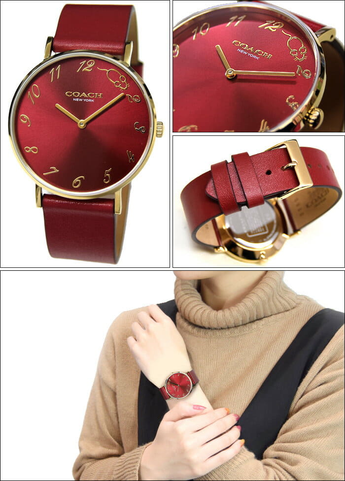 red coach watch