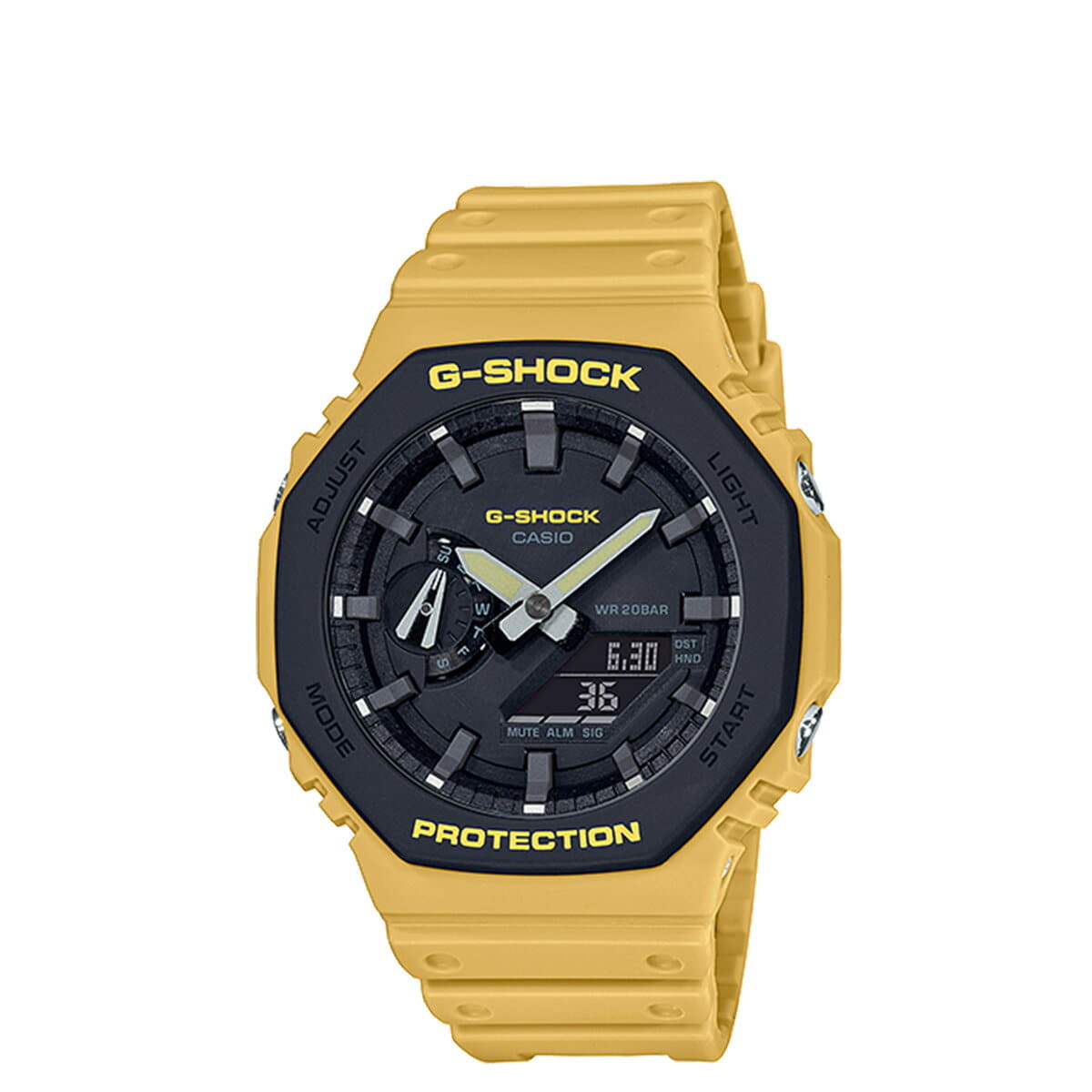 Casio new outlet arrival