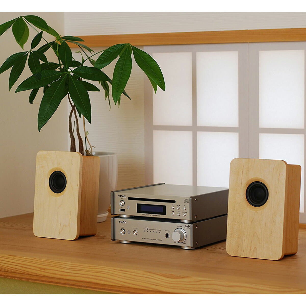 New Sochi Sound Model 216 Desktop Passive Speaker Maple Teac Amplifier Ai 301da Sp S Silver Teac Wide Fm Tuner Cd Player Pd 301 S Silver Set Be Forward Store