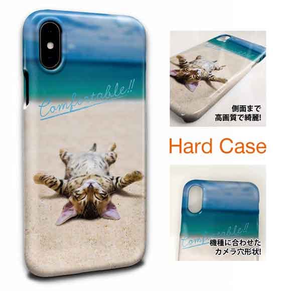 New]shopping marathon The cat which basks in the sun at the case