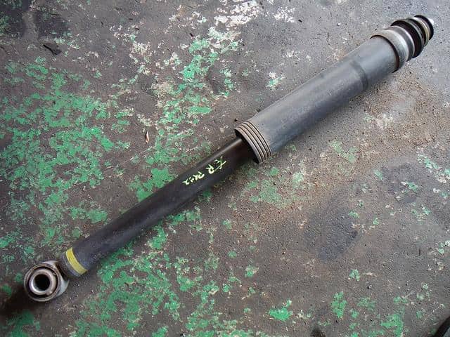 36 gen 5stem tulip cb french (485100581046)