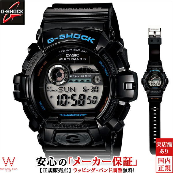 casio 8900