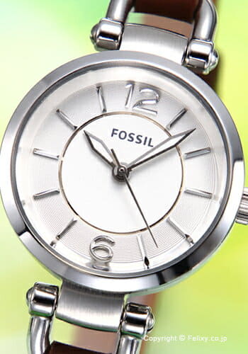 es3861 fossil
