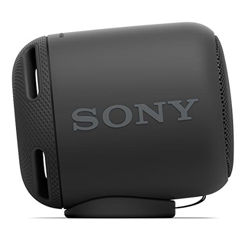 srs xb10 microphone