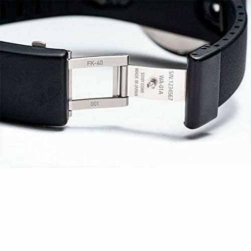 wena smartwatch