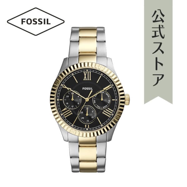 [New]FOSSIL CHAPMAN Men's Watch FS5630 - BE FORWARD Store