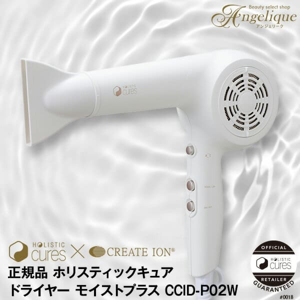 CREATE ION CCID-P02W