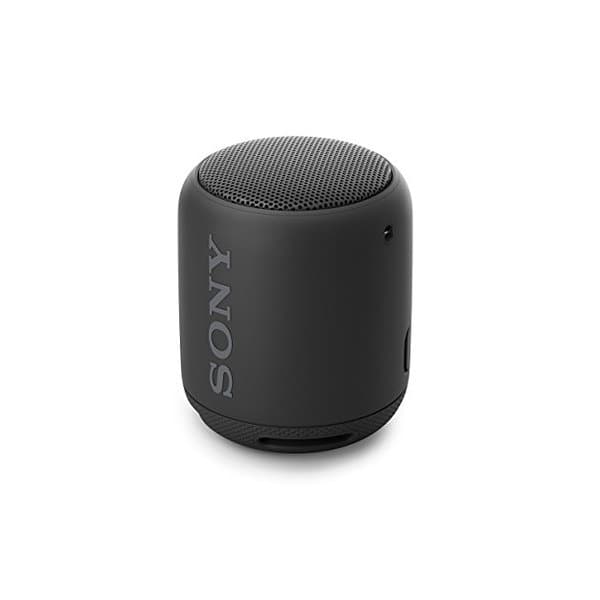 sony srs xb10 microphone not working