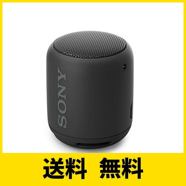 sony srs xb10 microphone