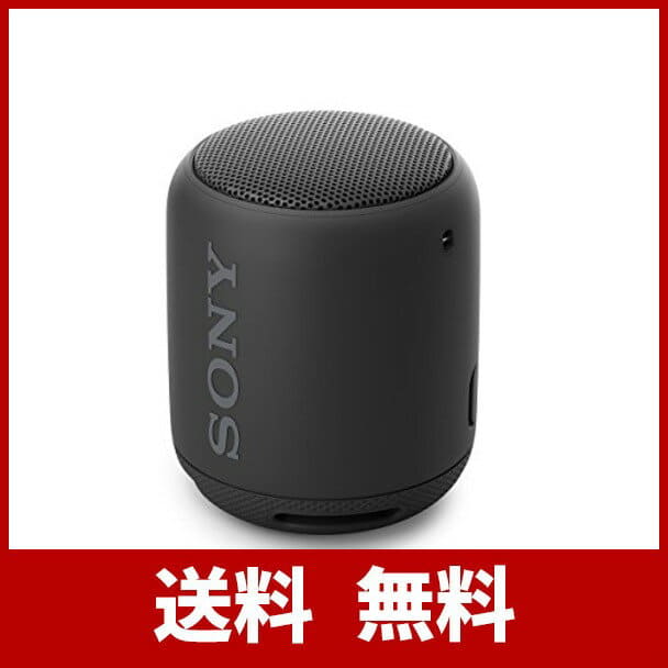 sony srs xb10 microphone