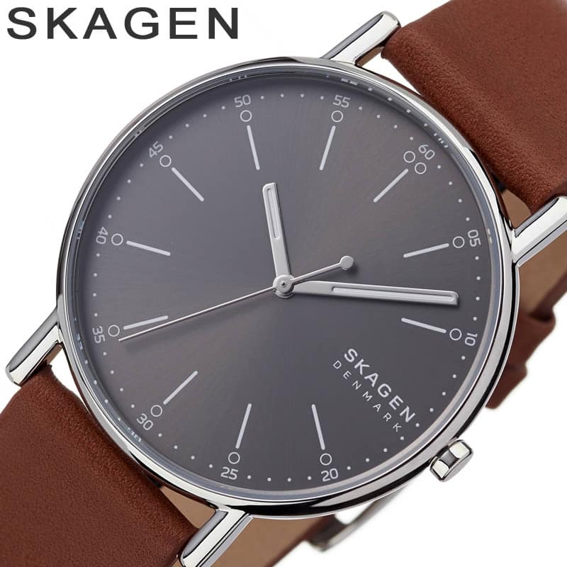 Skagen skw6578 hotsell