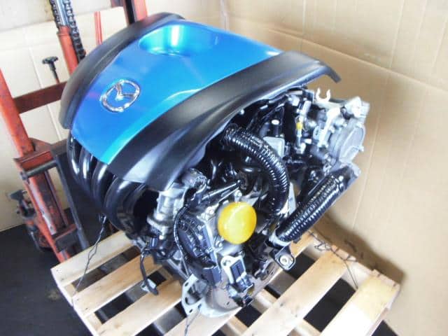 フェミサピエン zx1400ecf_Metallic_Spark_Black