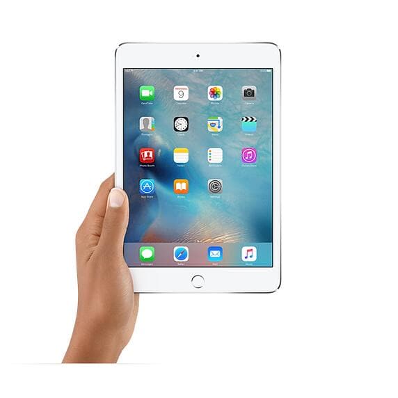 Amazon.com : Apple iPad Mini 4 Wi-Fi, 7.9in Retina Display