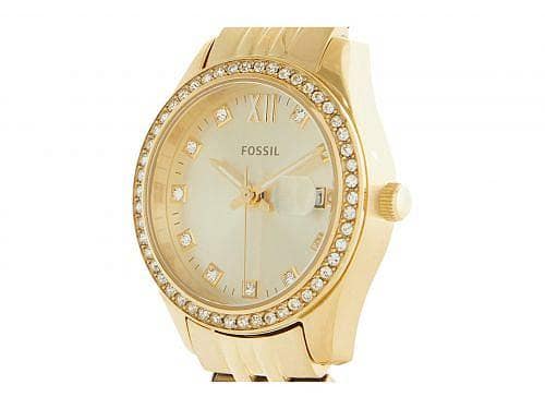 Fossil Fossil Ladies 