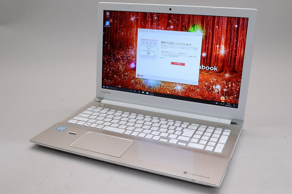 東芝 dynabook EX/65CG MEM8G SSD Win11