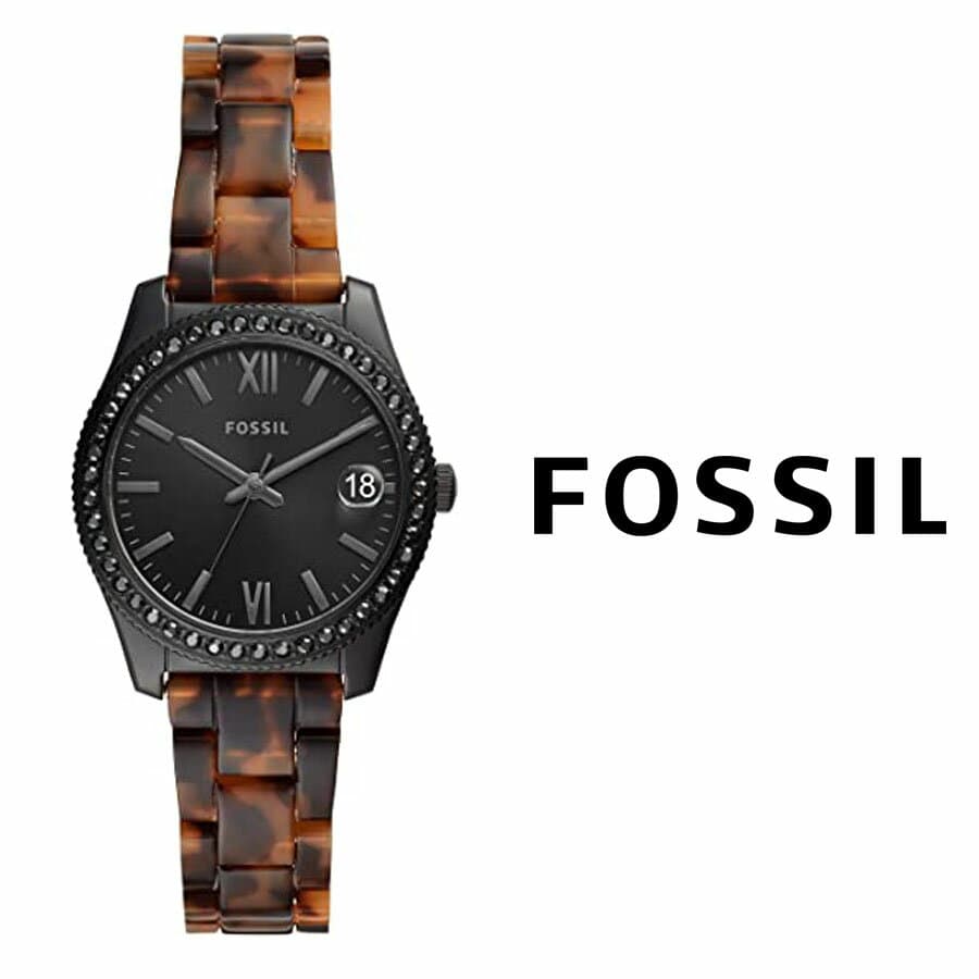 New]is all article fossil Fossil 