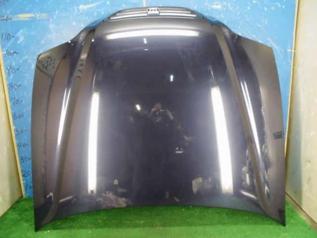 Used Bonnet Hood HONDA Orthia 1996 E EL2 60100S05000ZZ BE