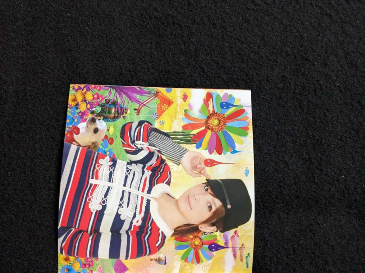 Used]Melon Kinenbi album MELON'S NOT DEAD DVD PV BEAT CRUSADERS
