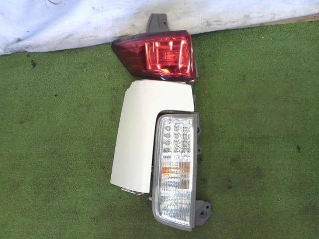 TE52 NISSAN ELGRAND back light