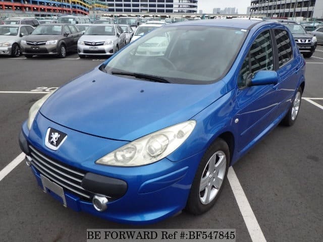 Peugeot 307 feline