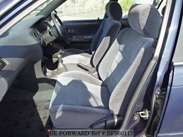 BF560117_ec14bd.jpg