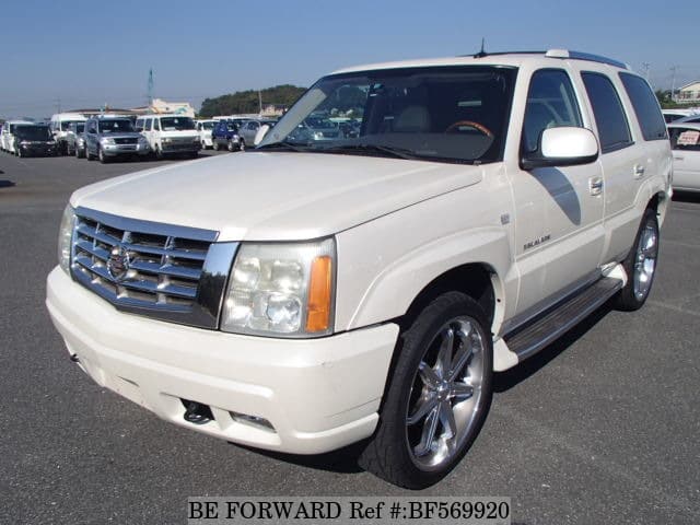 BF569920_4e3014.jpg