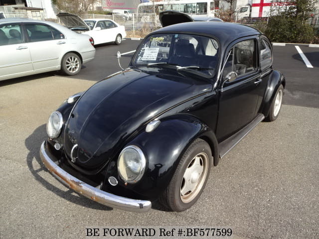 class 11 bug for sale